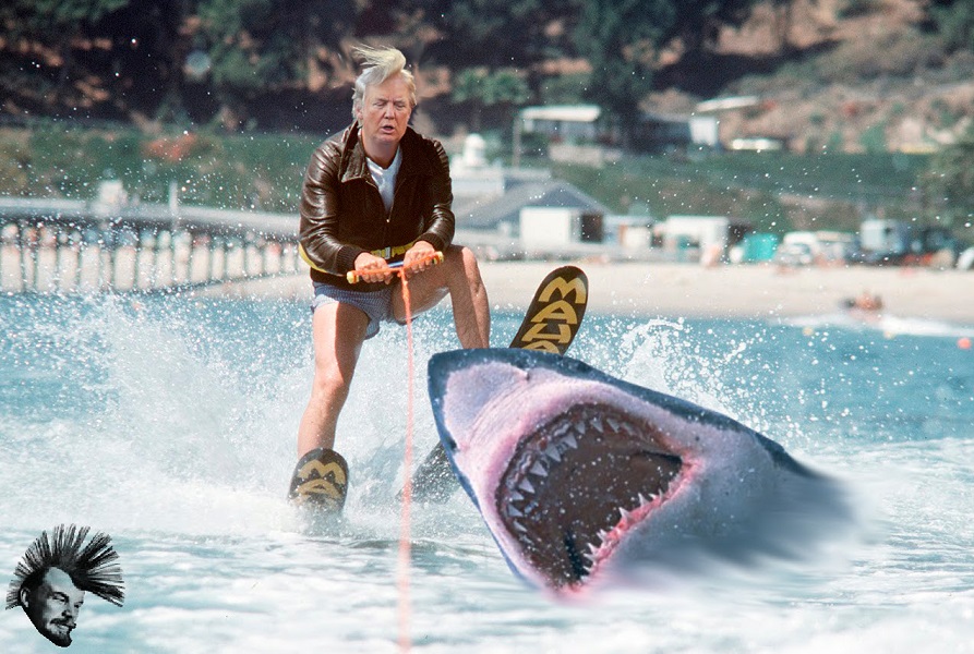Trump jump.jpg