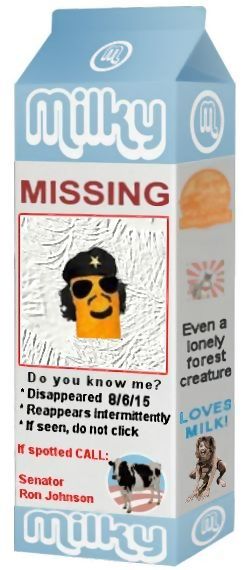 Milk Carton 5.jpg