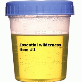 urine-specimen-cup.jpg