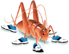 Cricket Shoes-4.png