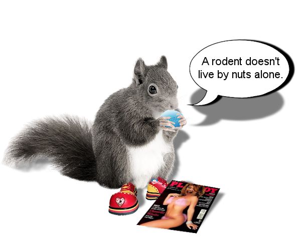 Craptek Thought of the Day -3.jpg