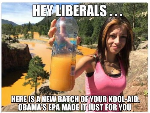epa-koolaid.jpg