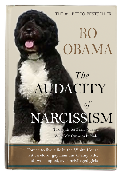 AudacityOfNarcissism.PNG