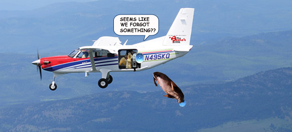 airplane.jpg