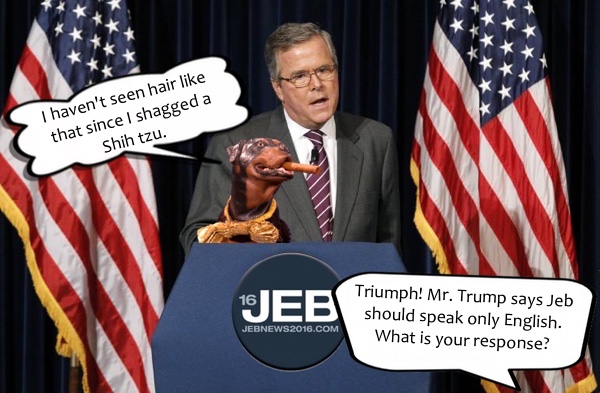 bush-jeb-2013.jpg