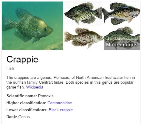 Crappie.JPG