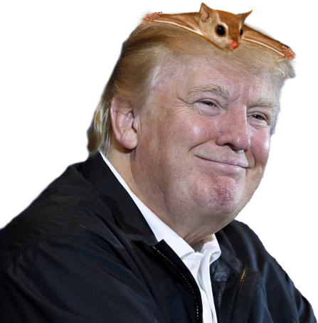 donald-trump-and-captain-craptek.png