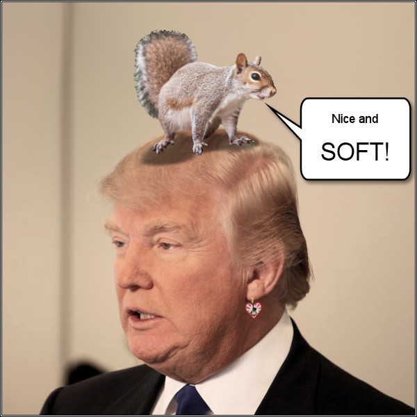 Nice and Soft.jpg