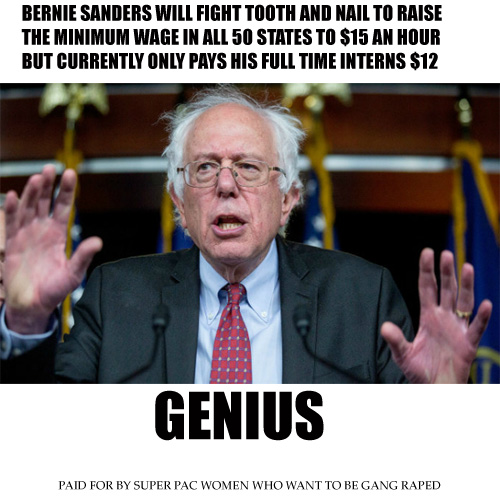 SANDERS IRONY.jpg