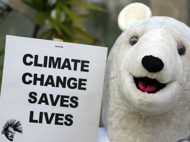 Climate Change Bear.jpg