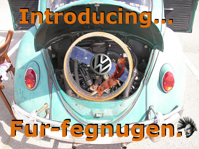 Fur-fegnugen.jpg