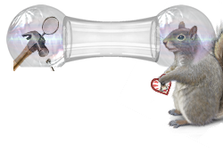 Craptek to Hammer.png