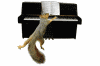 squirrel_piano_mini.gif
