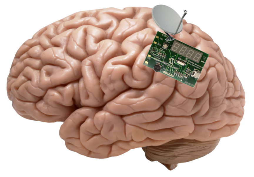 Brain Transplant Peoples Cube.jpeg