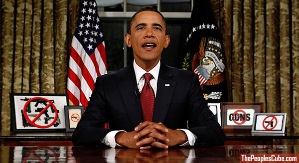 Obama_Anti_Gun_Speech.jpg