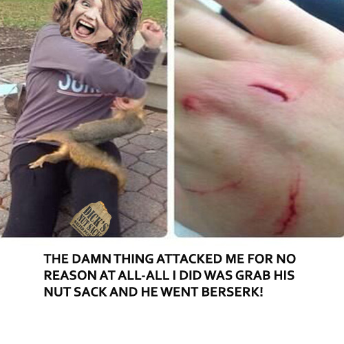 squirrel bites copy.jpg