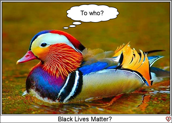 Colorful.jpg