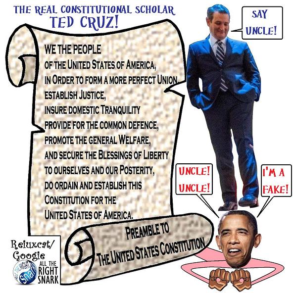 Constitutional Scholar 37.jpg