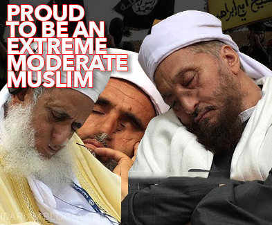 extreme moderates unite 2.jpg
