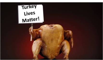 turkey 1.jpg