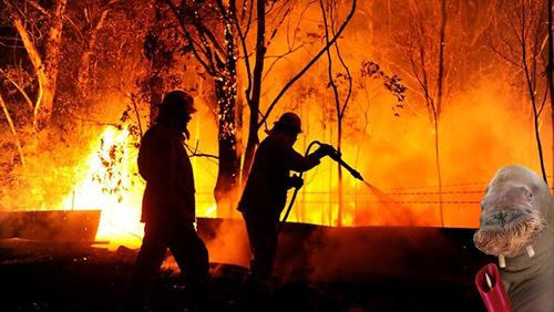 candlelight vigil.jpg