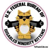 disabled minority kittens - small.jpg