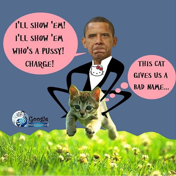 o pussy 37.jpg