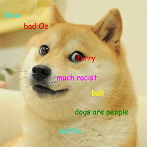 doge.jpg