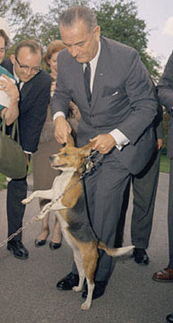 LBJ_Dog_Ears.jpg
