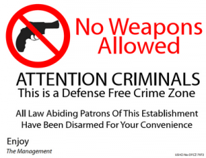Defense-Free-Zone-300x231.png