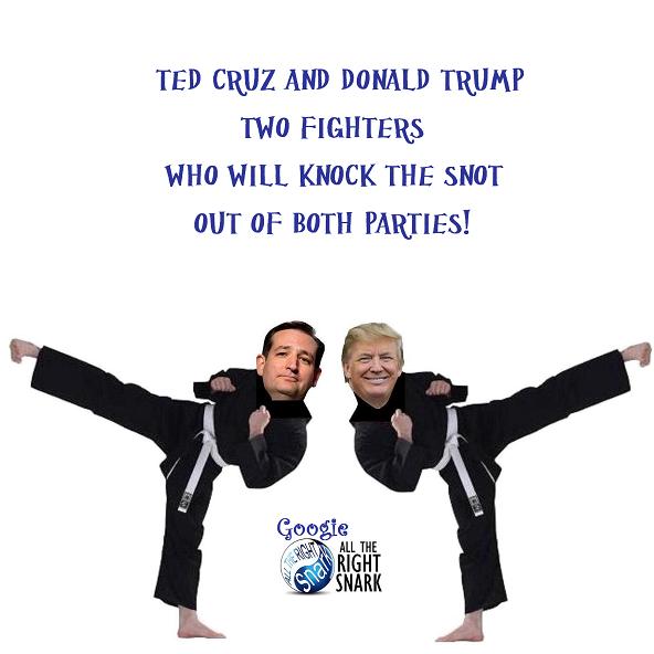 karate cruz trump parties 37.jpg