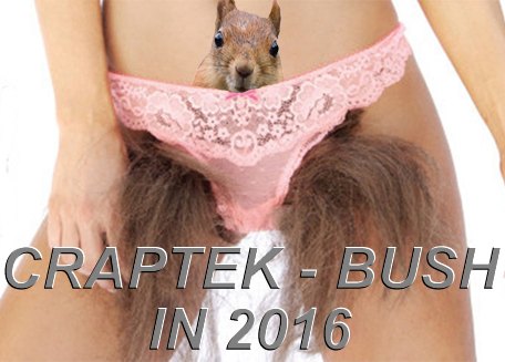 CraptekBush2016.jpg