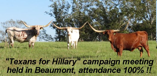 TexansForHillary.jpg