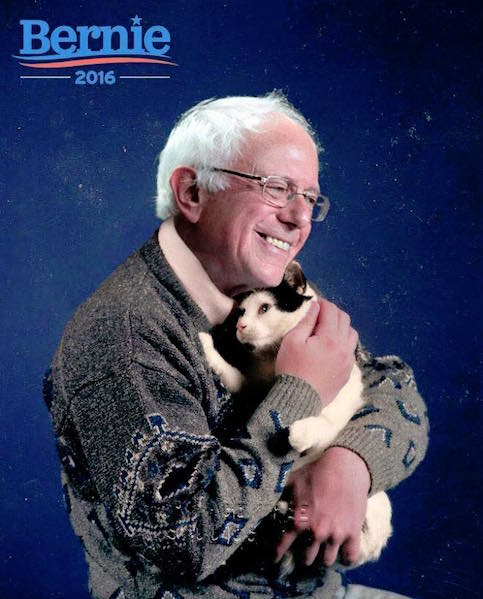 Berniecat.jpg
