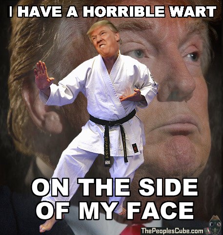 TwoNoTrump.jpg