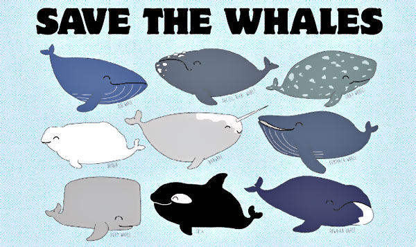 Whales.jpg