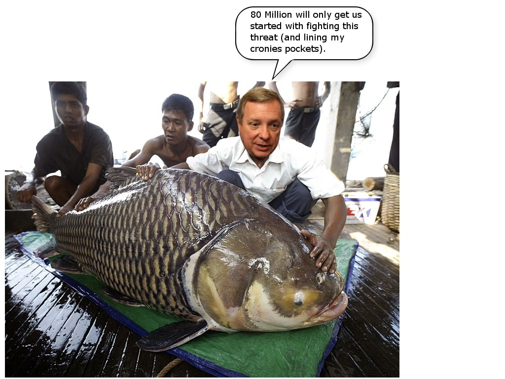 fishy durbin.jpg