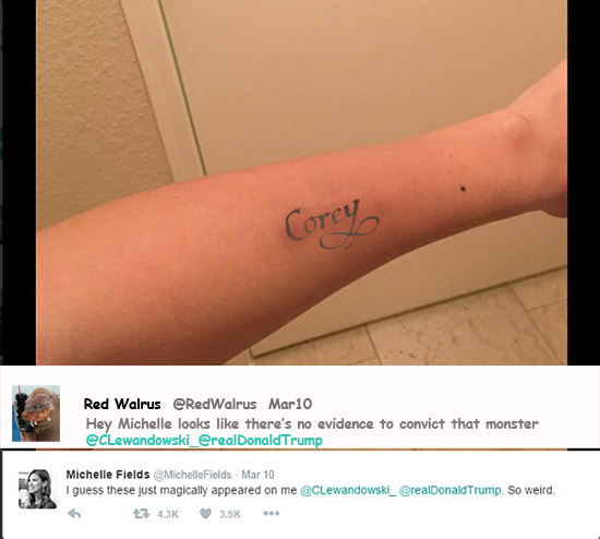 michelle fields arm copy.jpg