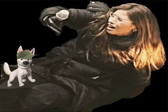 michelle fields and little dog.jpg