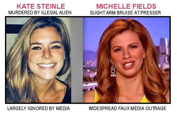 Michelle_Fields_Comparison.jpg