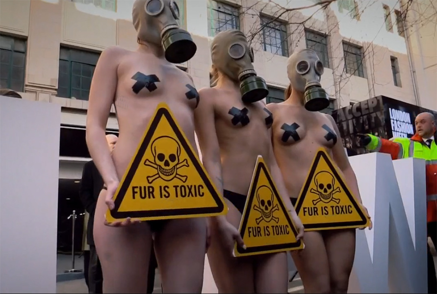 bikini wax.jpg