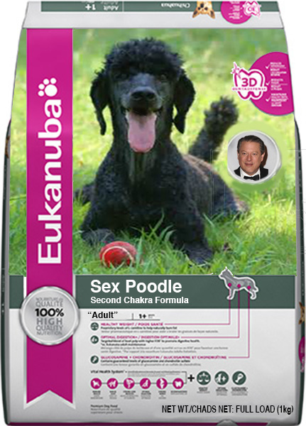 SexPoodle copy.jpg