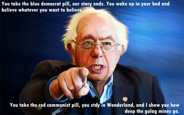 BernieMatrixBluePillRedPill.jpg