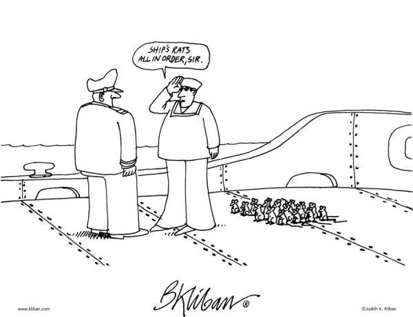 Rats All in Order Sir.jpg