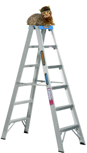 ladder.jpg