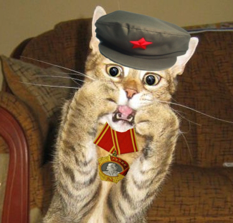 meow.jpg