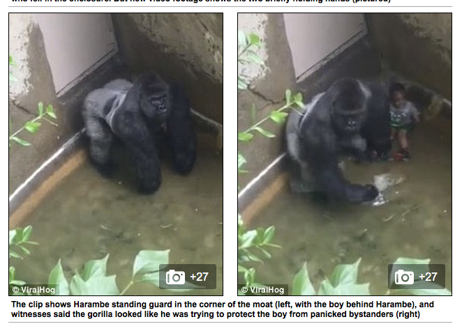 Screen Shot 2016-05-30 at 19.00.20.png