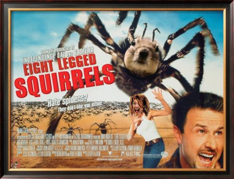 eight legged squirrels.jpg