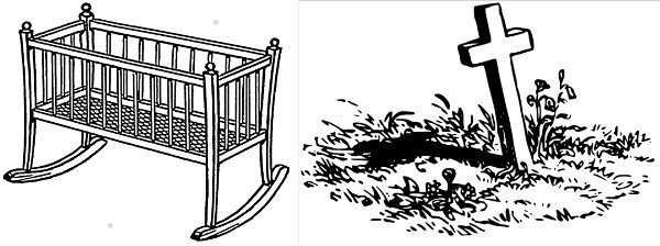 cradle2grave.jpg