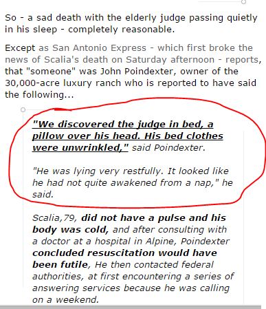 Scalia Pillow.JPG